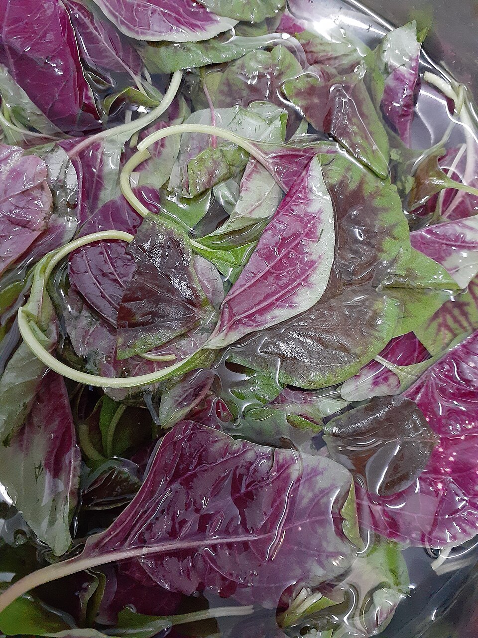 Amaranth Leaves